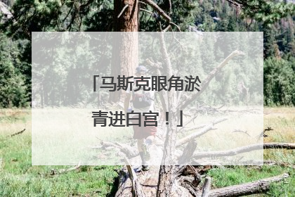 马斯克眼角淤青进白宫！