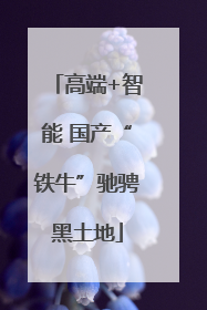 高端+智能 国产“铁牛”驰骋黑土地
