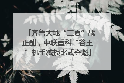 齐鲁大地“三夏”战正酣，中联重科“谷王”机手减损比武夺魁