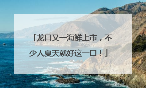 龙口又一海鲜上市，不少人夏天就好这一口！