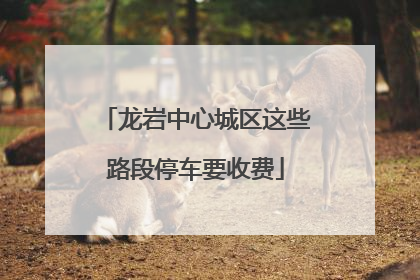 龙岩中心城区这些路段停车要收费