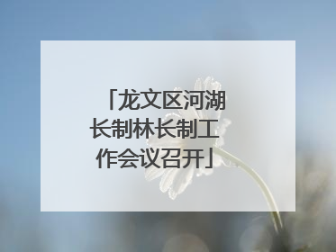 龙文区河湖长制林长制工作会议召开