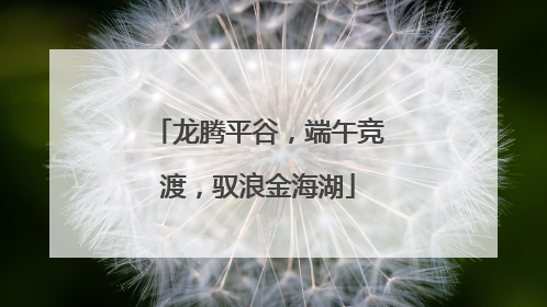 龙腾平谷，端午竞渡，驭浪金海湖