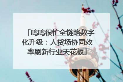 鸣鸣很忙全链路数字化升级：人货场协同效率刷新行业天花板