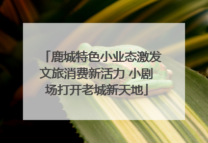 鹿城特色小业态激发文旅消费新活力 小剧场打开老城新天地