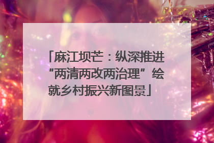 麻江坝芒：纵深推进“两清两改两治理”绘就乡村振兴新图景