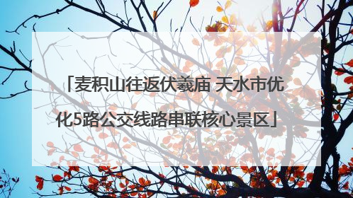 麦积山往返伏羲庙 天水市优化5路公交线路串联核心景区