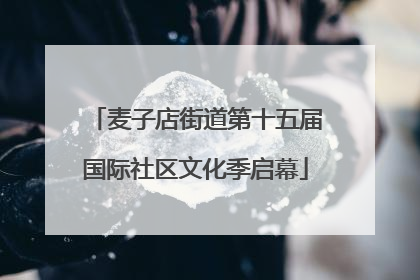 麦子店街道第十五届国际社区文化季启幕