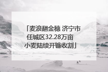 麦浪翻金穗 济宁市任城区32.28万亩小麦陆续开镰收割