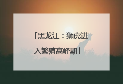 黑龙江：狮虎进入繁殖高峰期