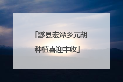 黟县宏潭乡元胡种植喜迎丰收