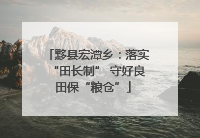 黟县宏潭乡：落实“田长制” 守好良田保“粮仓”