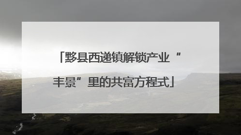 黟县西递镇解锁产业“丰景”里的共富方程式