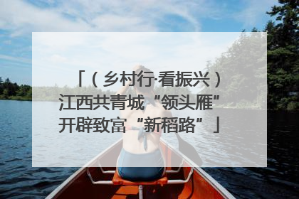 （乡村行·看振兴）江西共青城“领头雁”开辟致富“新稻路”