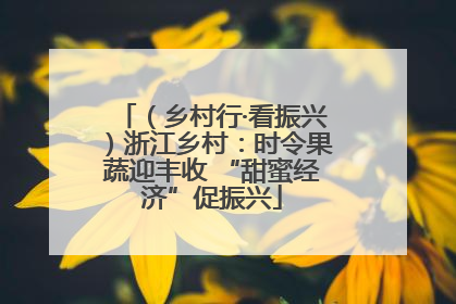 （乡村行·看振兴）浙江乡村：时令果蔬迎丰收 “甜蜜经济”促振兴