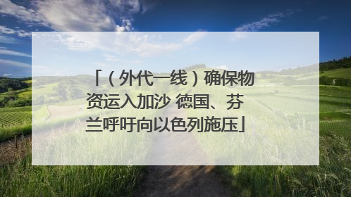 （外代一线）确保物资运入加沙 德国、芬兰呼吁向以色列施压