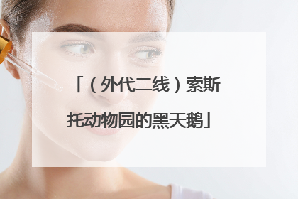 （外代二线）索斯托动物园的黑天鹅