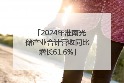 2024年淮南光储产业合计营收同比增长61.6%