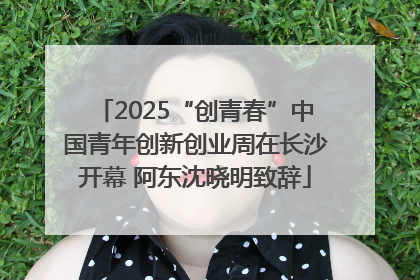 2025“创青春”中国青年创新创业周在长沙开幕 阿东沈晓明致辞