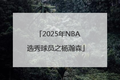 2025年NBA选秀球员之杨瀚森