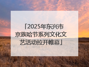 2025年东兴市京族哈节系列文化文艺活动拉开帷幕