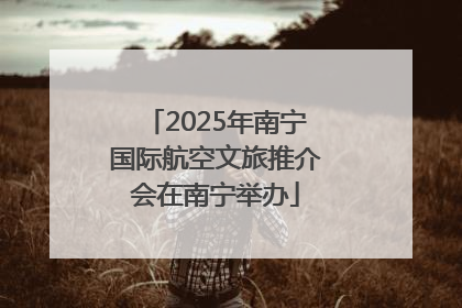 2025年南宁国际航空文旅推介会在南宁举办