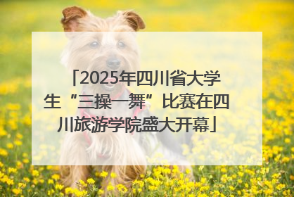2025年四川省大学生“三操一舞”比赛在四川旅游学院盛大开幕
