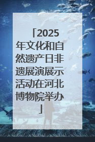 2025年文化和自然遗产日非遗展演展示活动在河北博物院举办