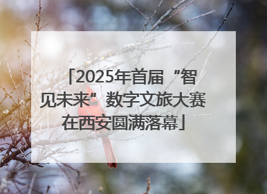 2025年首届“智见未来”数字文旅大赛在西安圆满落幕