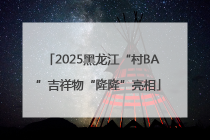2025黑龙江“村BA”吉祥物“隆隆”亮相