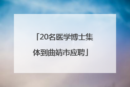 20名医学博士集体到曲靖市应聘