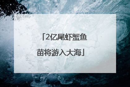 2亿尾虾蟹鱼苗将游入大海