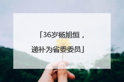 36岁杨旭恒，递补为省委委员