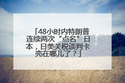 48小时内特朗普连续两次“点名”日本，日美关税谈判卡壳在哪儿了？