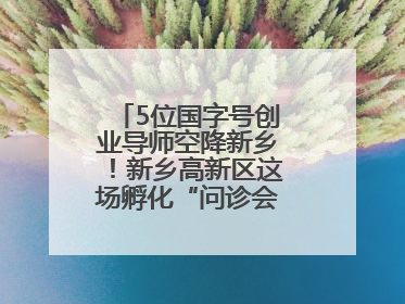 5位国字号创业导师空降新乡！新乡高新区这场孵化“问诊会”干货满满
