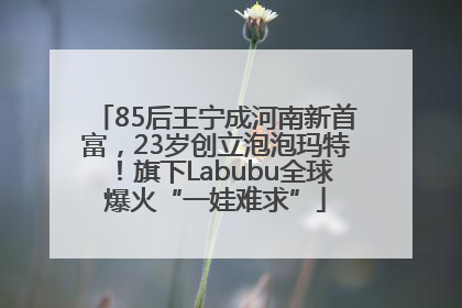 85后王宁成河南新首富，23岁创立泡泡玛特！旗下Labubu全球爆火“一娃难求”