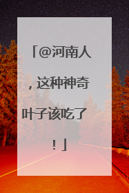 @河南人，这种神奇叶子该吃了！