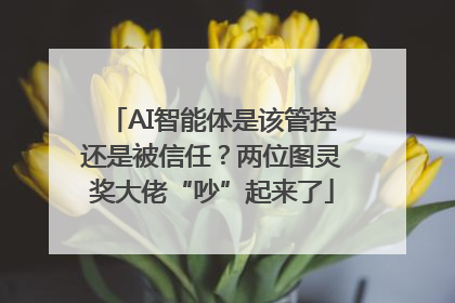 AI智能体是该管控还是被信任？两位图灵奖大佬“吵”起来了