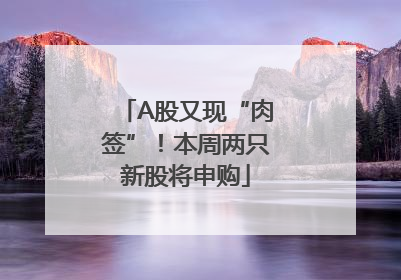 A股又现“肉签”！本周两只新股将申购