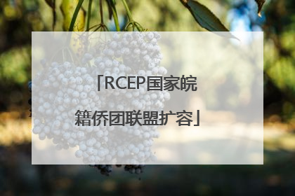 RCEP国家皖籍侨团联盟扩容